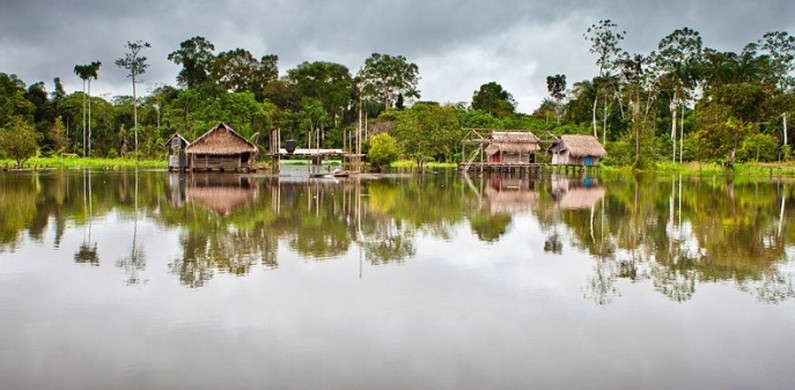 Амазония (Колумбия) 2013