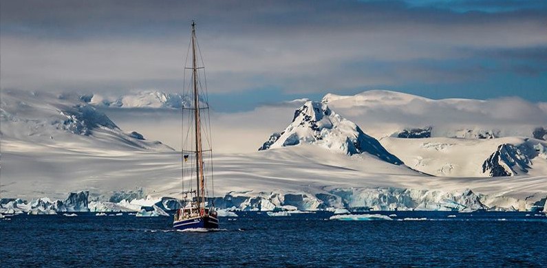 Антарктида с Паганелями 2014-15