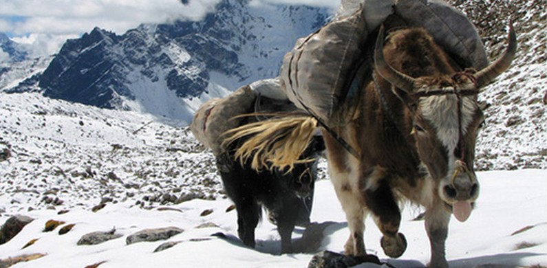 Nepal, Himalayas 2012
