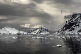 Антарктида 2014-15 (17/129)