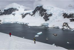 Антарктида 2014-15 (28/129)