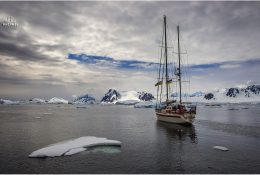 Антарктида 2014-15 (64/129)