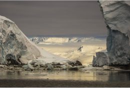Антарктида 2014-15 (66/129)