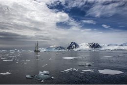 Антарктида 2014-15 (73/129)