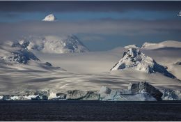 Антарктида 2014-15 (84/129)