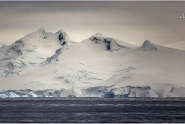 Антарктида 2014-15 (90/129)