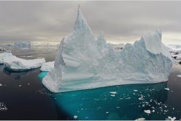Антарктида 2014-15 (121/129)