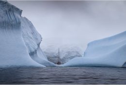 Антарктида 2016-17 (4/100)