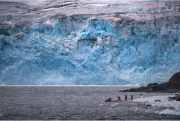 Антарктида 2016-17 (12/100)
