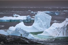 Антарктида 2016-17 (21/100)