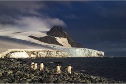 Антарктида 2016-17 (50/100)