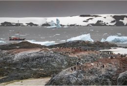 Антарктида 2016-17 (62/100)