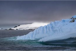 Антарктида 2016-17 (66/100)