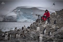 Антарктида 2016-17 (78/100)