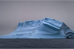 Антарктида 2016-17 (80/100)