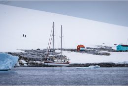 Антарктида 2016-17 (95/100)