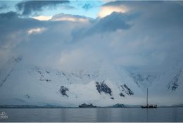 Антарктида 2016-17 (97/100)