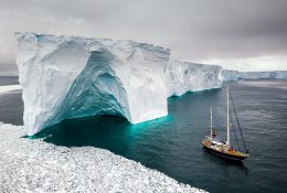 Антарктида 2018-19 (24/182)