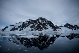 Антарктида 2018-19 (57/182)