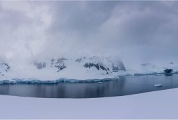 Антарктида 2018-19 (93/182)