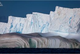 Антарктида 2018-19 (152/182)