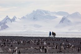 Антарктида 2018-19 (158/182)