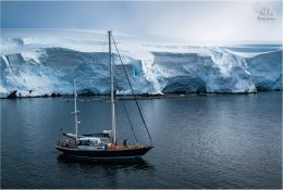 Антарктида 2018-19 (164/182)