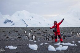 Антарктида 2018-19 (181/182)
