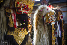 Танці Баронг і Кетчак (Балі) 2013 (12/54)