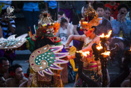 Танці Баронг і Кетчак (Балі) 2013 (46/54)