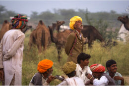India, Camel Fair 2013 (37/82)