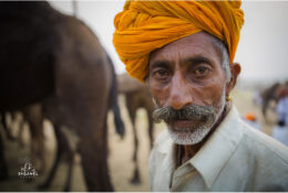 India, Camel Fair 2013 (44/82)