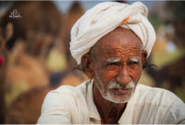 India, Camel Fair 2013 (46/82)