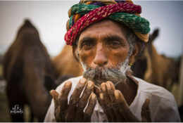 India, Camel Fair 2013 (50/82)