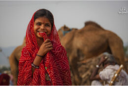 India, Camel Fair 2013 (66/82)