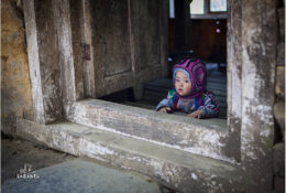 Nepal 2013 (30/105)