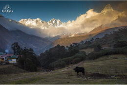 Nepal 2013 (33/105)