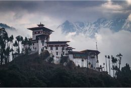 Бутан (2019) (29/39)