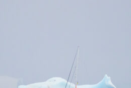 Antarctica_photo_Pavel_Sepi_2024 (14/31)