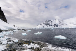 Antarctica_photo_Pavel_Sepi_2024 (16/31)