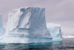 Antarctica_photo_Pavel_Sepi_2024 (25/31)
