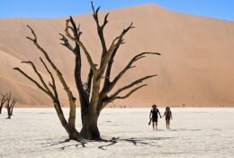 Namibia_New_Year (19/71)