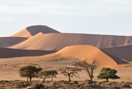 Namibia_New_Year (26/71)