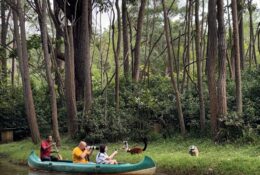 Madagascar_and_Mauritius_2026 (4/70)