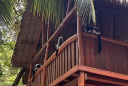 Madagascar_and_Mauritius_2026 (10/70)