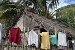 Madagascar_and_Mauritius_2026 (14/70)