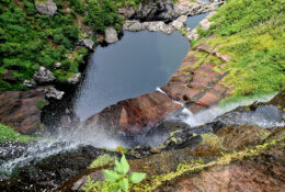Madagascar_and_Mauritius_2026 (18/70)
