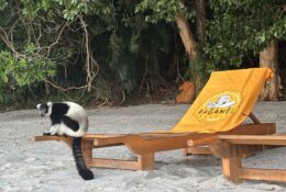 Madagascar_and_Mauritius_2026 (23/70)