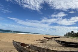 Madagascar_and_Mauritius_2026 (34/70)