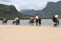 Madagascar_and_Mauritius_2026 (39/70)
